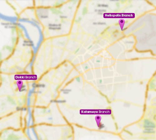 ProPlus Map